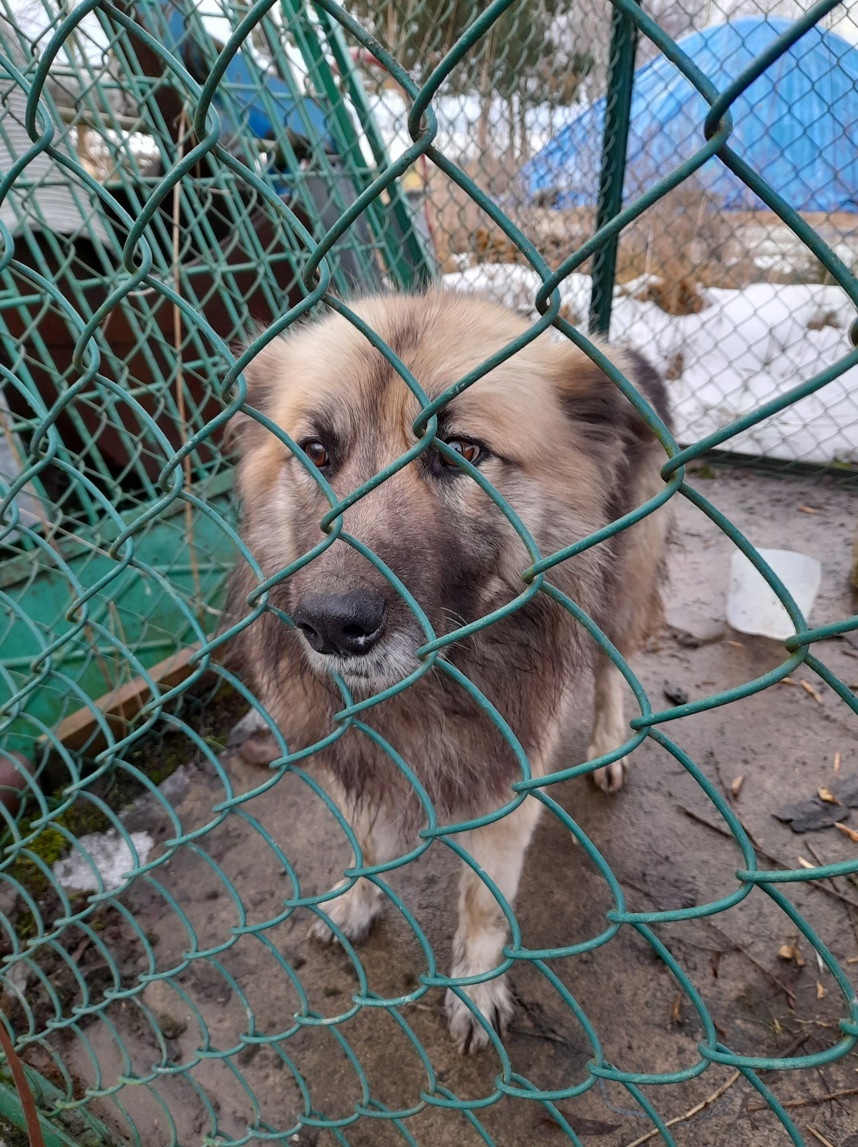 155037385 3061095420772550 4611671812503077828 n