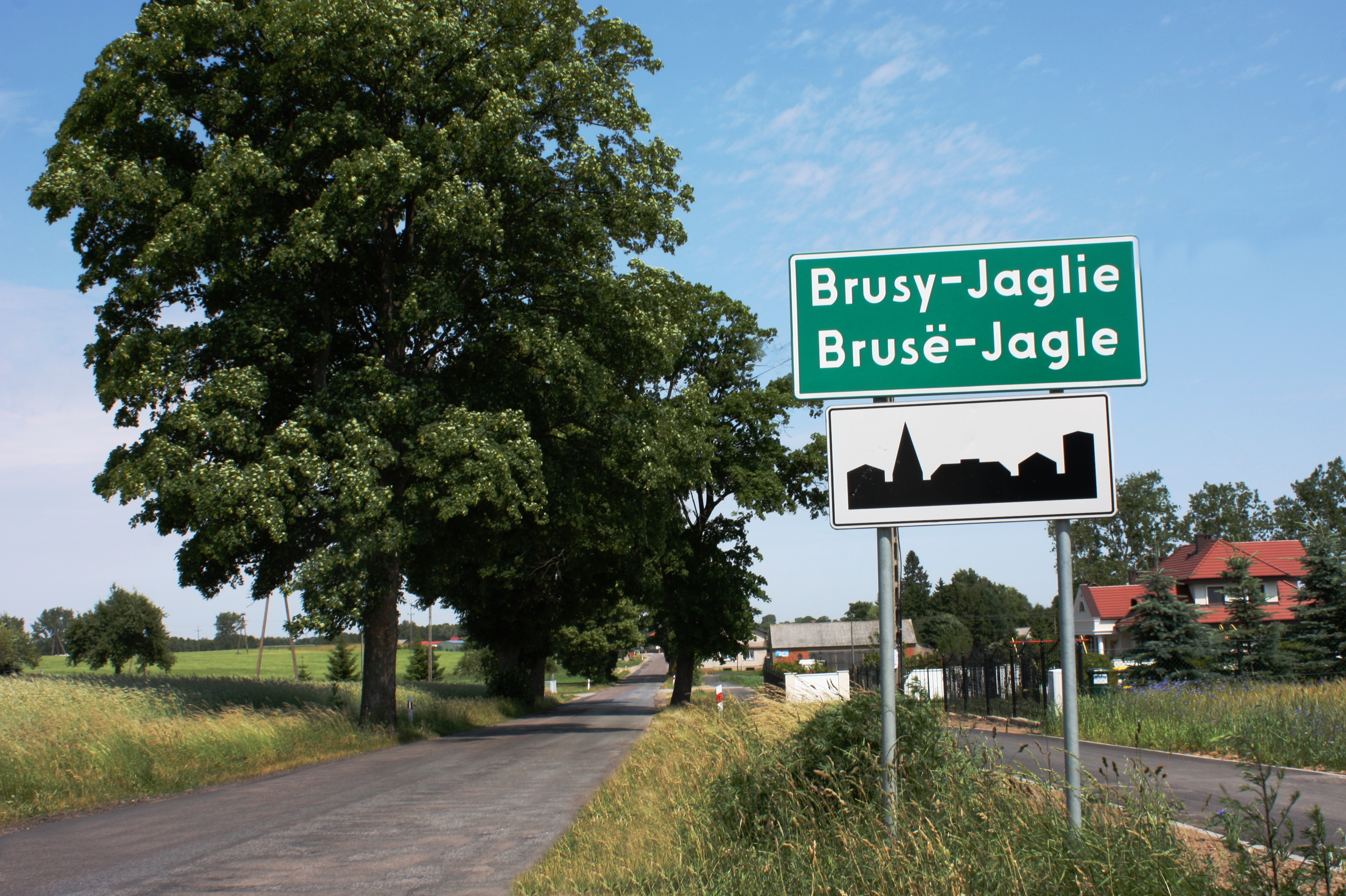 nazywnictwo obr trawaitp