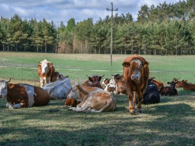 05.07 - KONKURS „PIĘKNA WIEŚ POMORSKA 2023” 