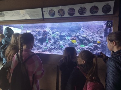 7-11.08 - PÓŁKOLONIE Z PLACÓWKĄ WSPARCIA DZIENNEGO