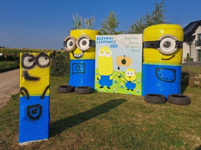 Sołectwo Czapiewice