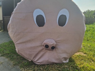 Sołectwo Wielkie Chełmy