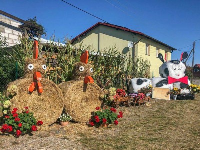 Sołectwo Główczewice