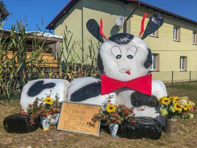 Sołectwo Główczewice