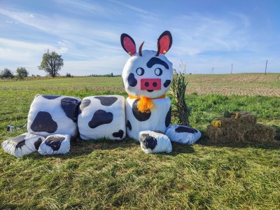 Sołectwo Brusy - Jaglie