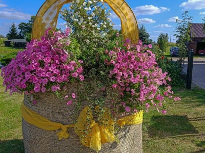 Sołectwo Czapiewice