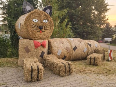 Sołectwo Przymuszewo