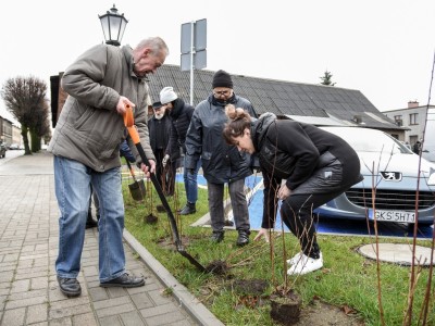 SADZENIE ZIELENI WRAZ Z MIESZKAŃCAMI ZREWITALIZOWANEGO TERENU