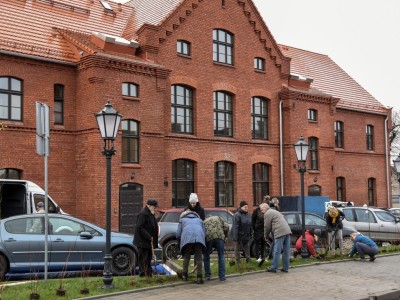 SADZENIE ZIELENI WRAZ Z MIESZKAŃCAMI ZREWITALIZOWANEGO TERENU