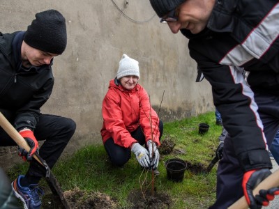 SADZENIE ZIELENI WRAZ Z MIESZKAŃCAMI ZREWITALIZOWANEGO TERENU
