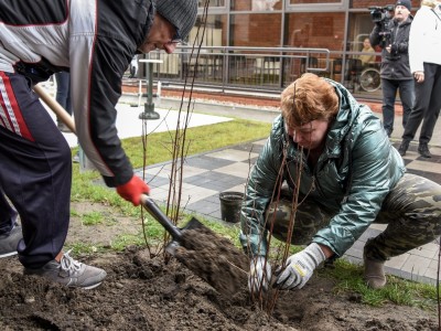 SADZENIE ZIELENI WRAZ Z MIESZKAŃCAMI ZREWITALIZOWANEGO TERENU