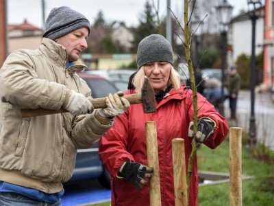 SADZENIE ZIELENI WRAZ Z MIESZKAŃCAMI ZREWITALIZOWANEGO TERENU