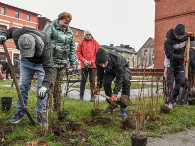 SADZENIE ZIELENI WRAZ Z MIESZKAŃCAMI ZREWITALIZOWANEGO TERENU