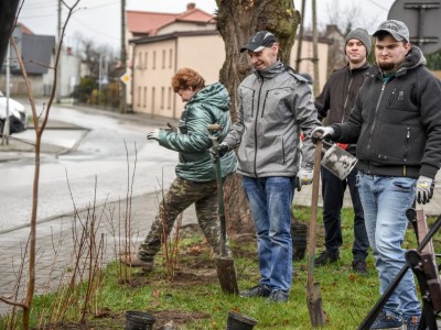 SADZENIE ZIELENI WRAZ Z MIESZKAŃCAMI ZREWITALIZOWANEGO TERENU
