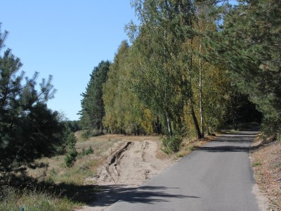 Szlak Literacki im. Anny Łajming - Skoszewo, szosa do Przymuszewa