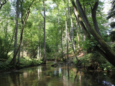 Szlak Zbrzycy - rzeka koło Parzyna