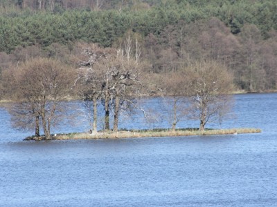 Szlak Zbrzycy - wyspa kormoranów na j. Somińskim