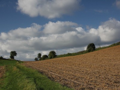 Szlak Zaborski (zielony)