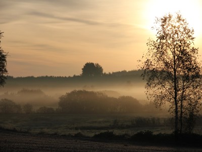 Szlak Zaborski (zielony) - świt w Zalesiu