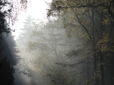 Szlak kaszubski im. Juliana Rydzkowskiego (czerwony) - szosa do Giełdonu