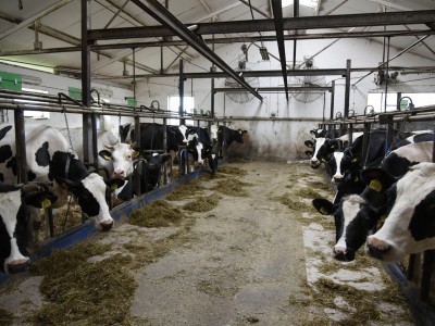 Posesja Państwa Kosiedowskich