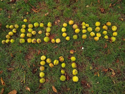 nagroda specjalna Dorota Kosak Główczewska