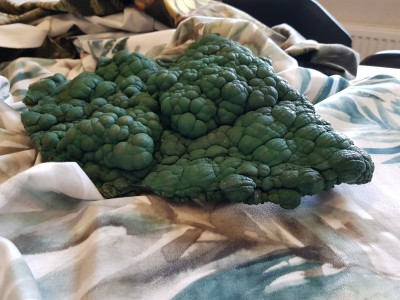 nagroda specjalna Igor Marcinkiewicz