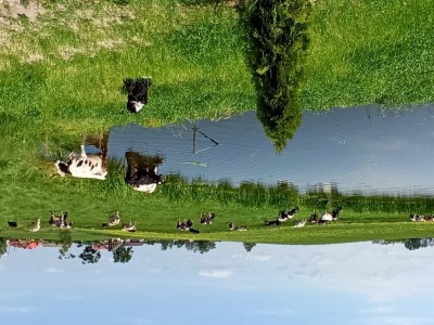 wyróżnienie Jan Szczepański