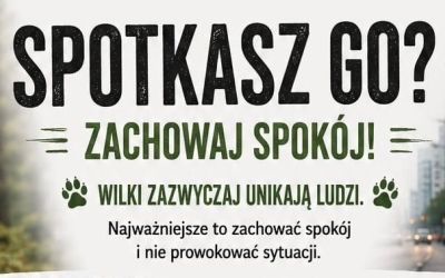 PAŃSTWOWA STRAŻ ŁOWIECKA W GDAŃSKU INFORMUJE