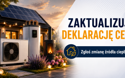 ZŁÓŻ LUB ZAKTUALIZUJ DEKLARACJĘ CEEB