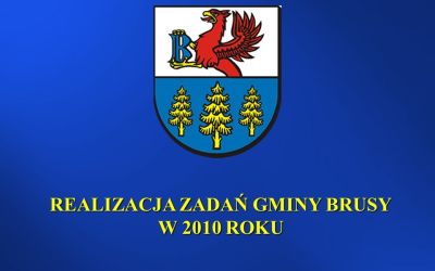 REALIZACJA ZADAŃ W 2010 ROKU