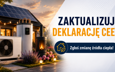 ZŁÓŻ LUB ZAKTUALIZUJ DEKLARACJĘ CEEB
