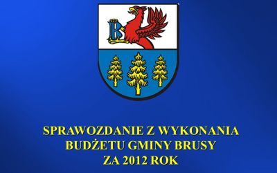 REALIZACJA ZADAŃ W 2012 ROKU