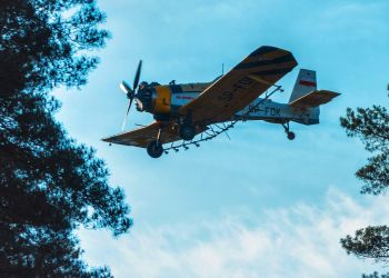 ZAKAZ WSTĘPU DO LASU - INFORMACJA O ZABIEGACH AGROLOTNICZYCH PRZECIWKO BRUDNICY MNISZCE