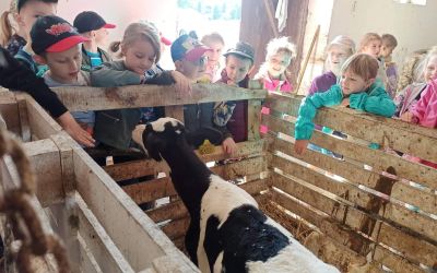 SP NR 1 BRUSY: Uczniowie klasy OB przy SP nr1 im. JP II w Brusach na wycieczce do gospodarstwa rolnego.