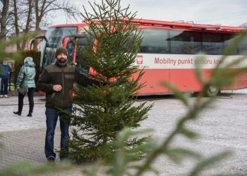 "CHOINKA DLA ŻYCIA"