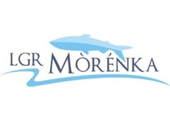 Zaproszenie na szkolenie dla przedstawicieli organizacji pozarządowych