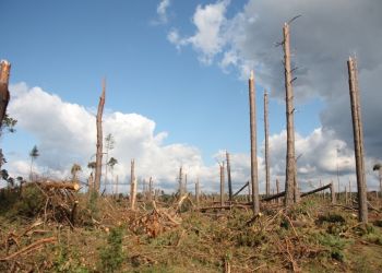 Brusy – pięć lat po nawałnicy