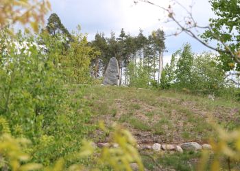 WĘDRÓWKI PO GMINIE BRUSY - KAMIENNE KRĘGI W LEŚNIE