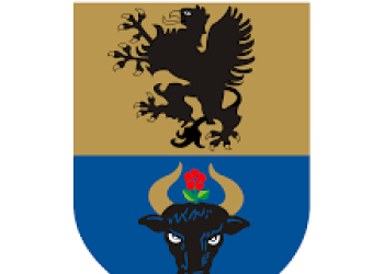 OBWIESZCZENIE STAROSTY CHOJNICKIEGO DOT. UPROSZCZONYCH PLANÓW URZĄDZENIA LASÓW