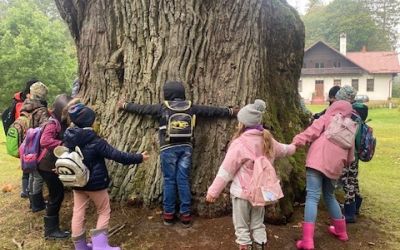 SP CZAPIEWICE: Wycieczka do lasu.