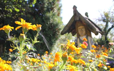 WĘDRÓWKI PO GMINIE BRUSY – SKANSEN JÓZEFA CHEŁMOWSKIEGO