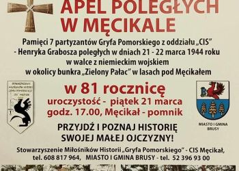 APEL POLEGŁYCH W MĘCIKALE
