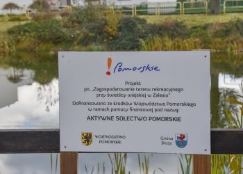 ZAGOSPODAROWANIE TERENU REKREACYJNEGO PRZY ŚWIETLICY WIEJSKIEJ W ZALESIU