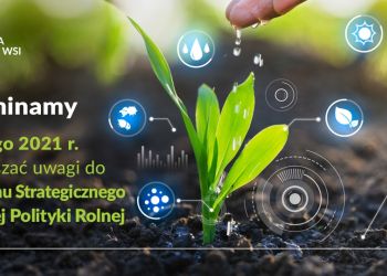Ruszyły konsultacje projektu Planu Strategicznego dla Wspólnej Polityki Rolnej
