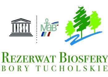 Zaproszenie do podzielenia się opinią na temat strategii terytorialnej Partnerstwa Rezerwatu Biosfery Bory Tucholskie