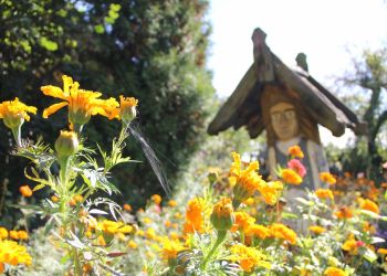 PODCZAS ZJAZDU ZWIEDŹ SKANSEN I CHATĘ KASZUBSKĄ. OKAŻ WSPARCIE UKRAINIE. ODWIEDŹ CIEKAWE WYSTAWY.