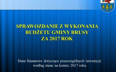 REALIZACJA ZADAŃ W 2017 ROKU