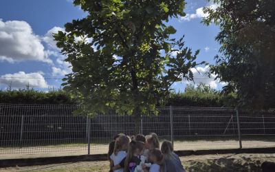 SP W LEŚNIE: Przytul się do drzewa