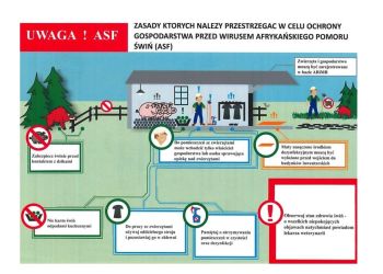 AFRYKAŃSKI POMÓR ŚWIŃ - informacje